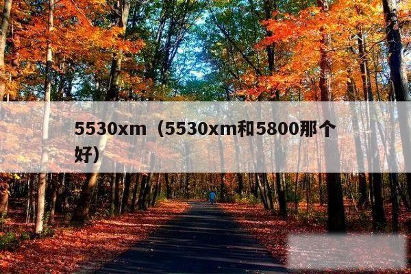 5530xm(5530xm和5800那个好)