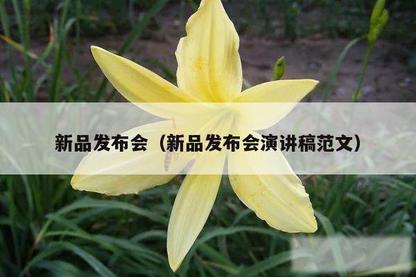 新品发布会(新品发布会演讲稿范文)