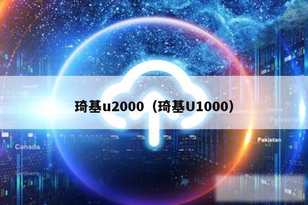 琦基u2000(琦基U1000)
