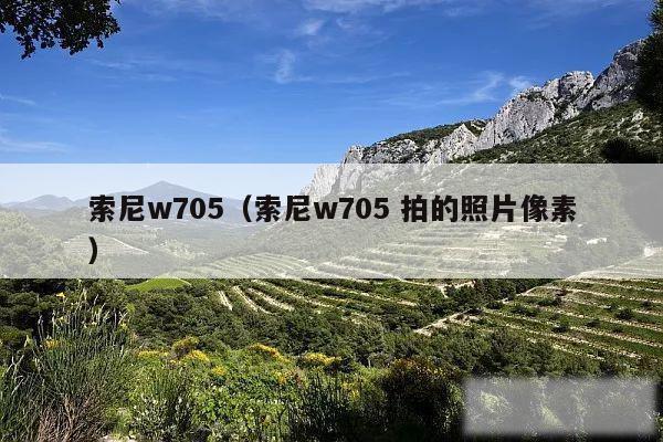 索尼w705(索尼w705 拍的照片像素)