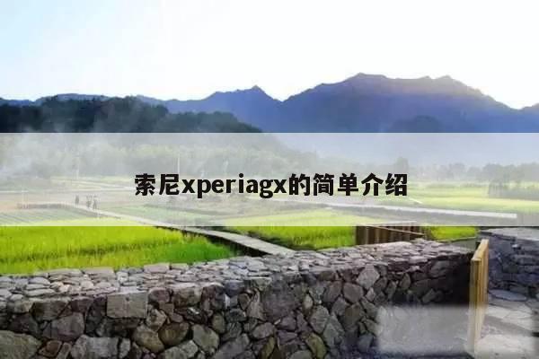 索尼xperiagx的简单介绍