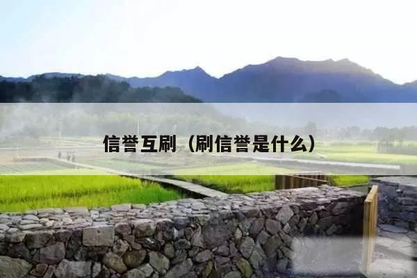 信誉互刷（刷信誉是什么）