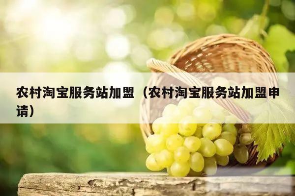 农村淘宝服务站加盟（农村淘宝服务站加盟申请）