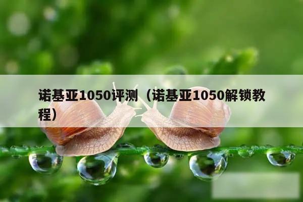 诺基亚1050评测（诺基亚1050解锁教程）