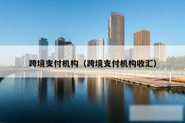 跨境支付机构（跨境支付机构收汇）