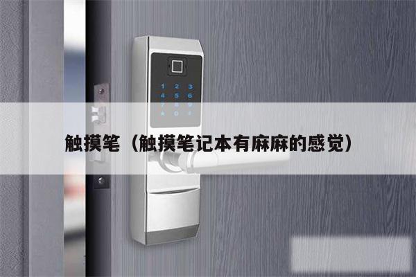 触摸笔（触摸笔记本有麻麻的感觉）