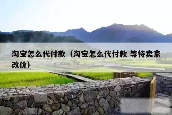 淘宝怎么代付款（淘宝怎么代付款 等待卖家改价）