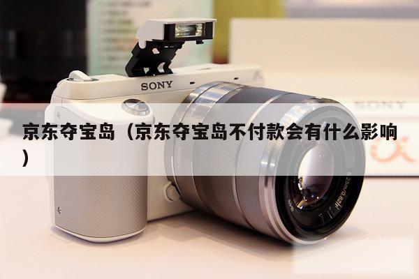 京东夺宝岛（京东夺宝岛不付款会有什么影响）