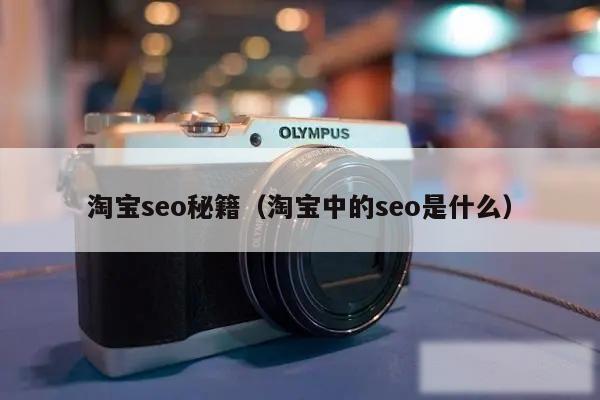 淘宝seo秘籍（淘宝中的seo是什么）