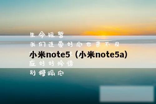 小米note5（小米note5a）