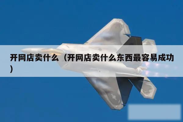开网店卖什么（开网店卖什么东西最容易成功）