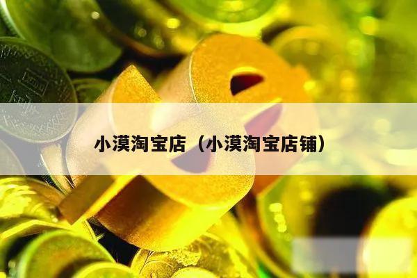 小漠淘宝店（小漠淘宝店铺）