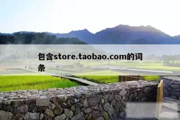 包含store.taobao.com的词条