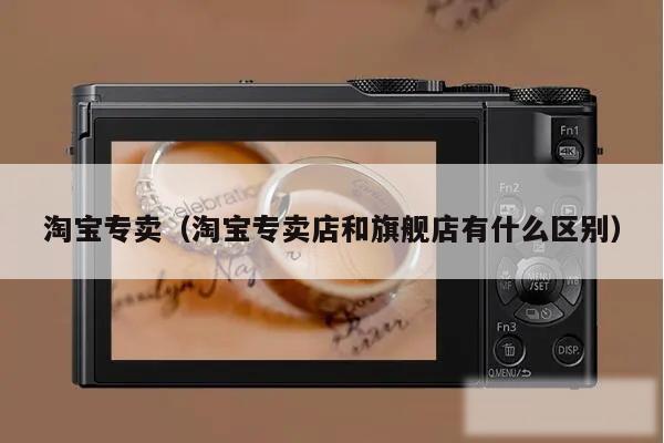 淘宝专卖（淘宝专卖店和旗舰店有什么区别）