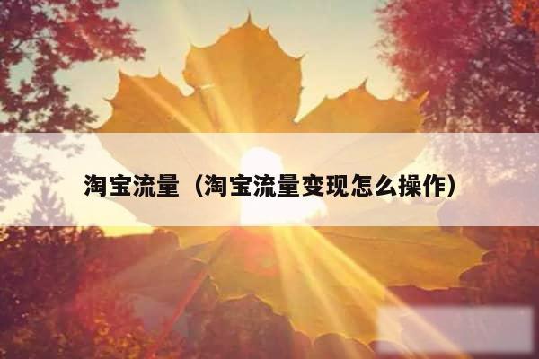淘宝流量（淘宝流量变现怎么操作）
