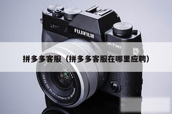 拼多多客服（拼多多客服在哪里应聘）