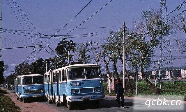 n照可以开什么车型