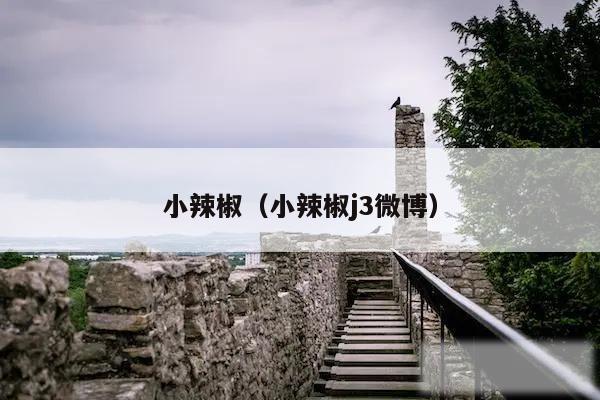 小辣椒（小辣椒j3微博）