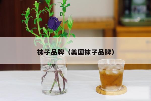 袜子品牌（美国袜子品牌）