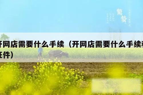 开网店需要什么手续（开网店需要什么手续和证件）
