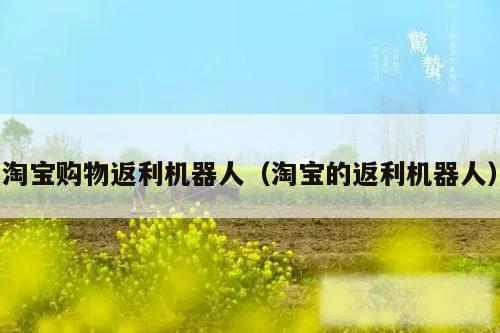 淘宝购物返利机器人（淘宝的返利机器人）