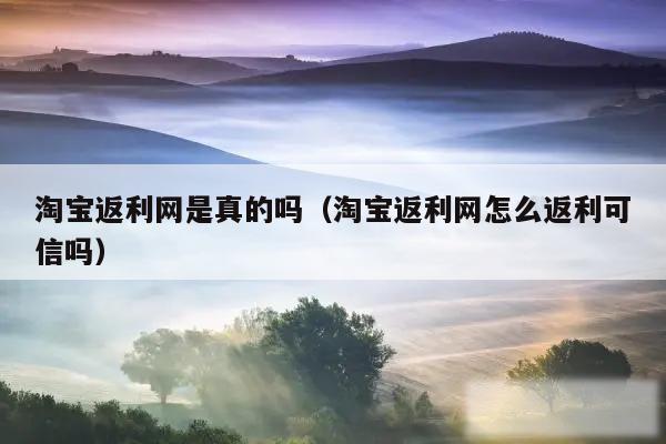淘宝返利网是真的吗（淘宝返利网怎么返利可信吗）