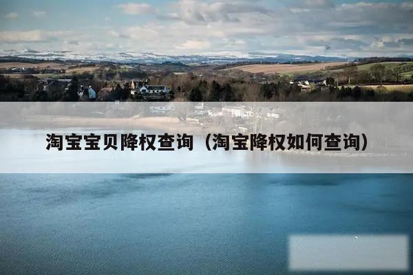 淘宝宝贝降权查询（淘宝降权如何查询）