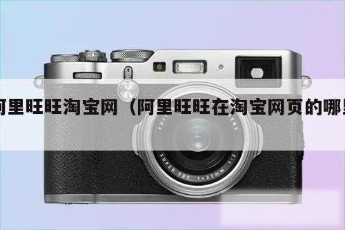 阿里旺旺淘宝网（阿里旺旺在淘宝网页的哪里）