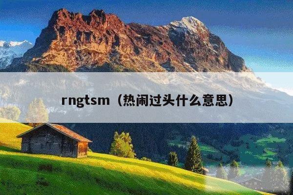 rngtsm（热闹过头什么意思）