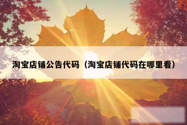 淘宝店铺公告代码（淘宝店铺代码在哪里看）