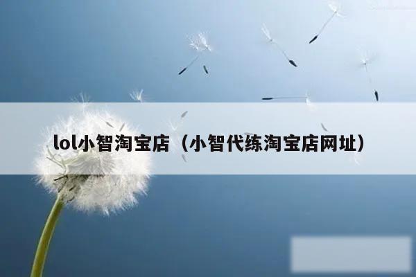 lol小智淘宝店（小智代练淘宝店网址）