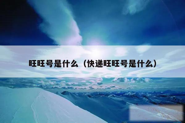 旺旺号是什么（快递旺旺号是什么）