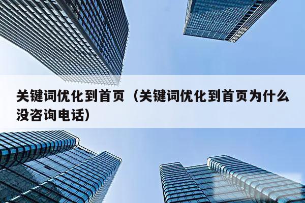 关键词优化到首页（关键词优化到首页为什么没咨询电话）