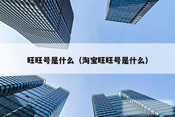 旺旺号是什么（淘宝旺旺号是什么）