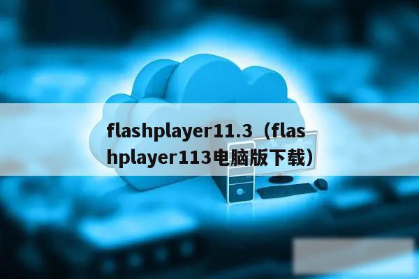 flashplayer11.3（flashplayer113电脑版下载）