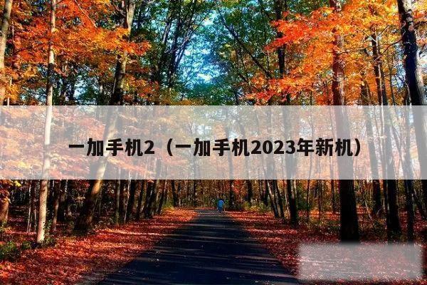 一加手机2（一加手机2023年新机）