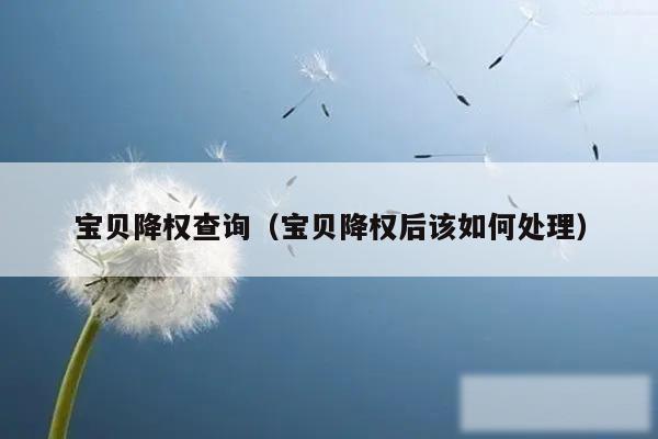 宝贝降权查询（宝贝降权后该如何处理）