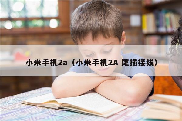 小米手机2a（小米手机2A 尾插接线）