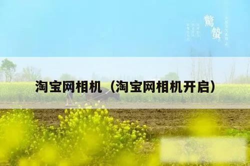 淘宝网相机（淘宝网相机开启）