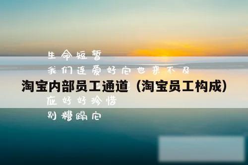 淘宝内部员工通道（淘宝员工构成）