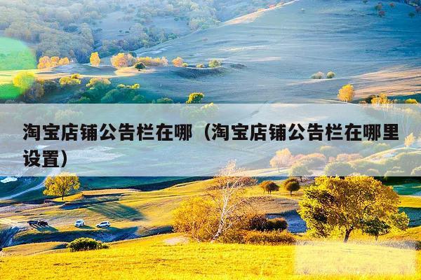 淘宝店铺公告栏在哪（淘宝店铺公告栏在哪里设置）