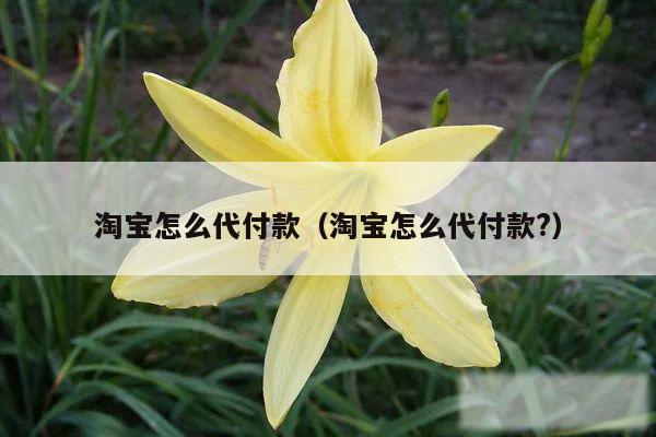 淘宝怎么代付款（淘宝怎么代付款?）