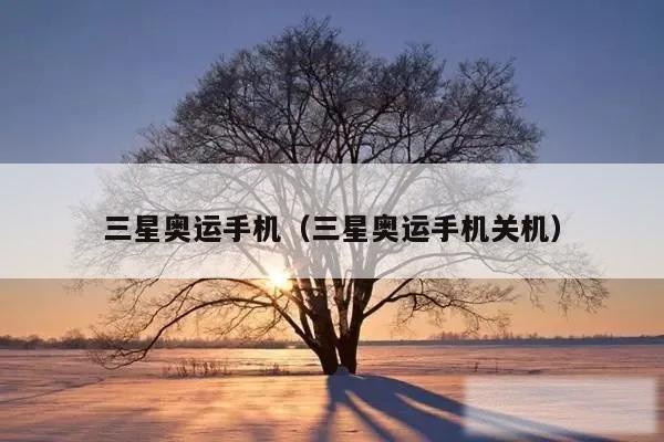 三星奥运手机（三星奥运手机关机）