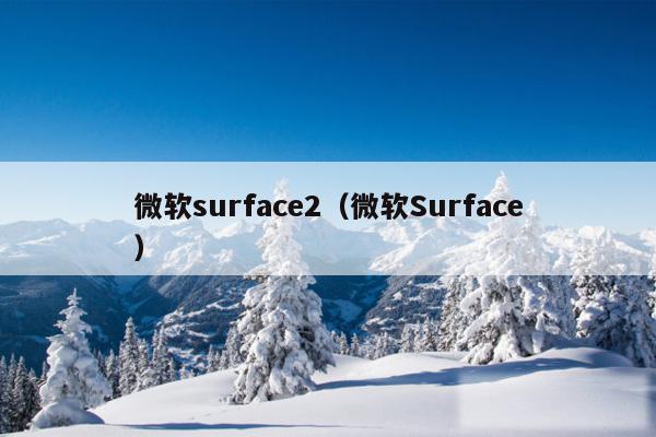 微软surface2（微软Surface）