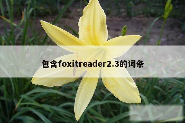 包含foxitreader2.3的词条