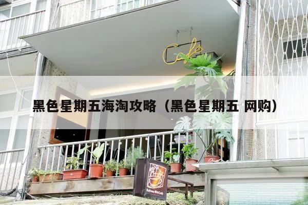 黑色星期五海淘攻略（黑色星期五 网购）