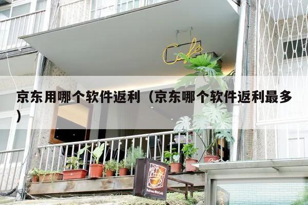 京东用哪个软件返利（京东哪个软件返利最多）