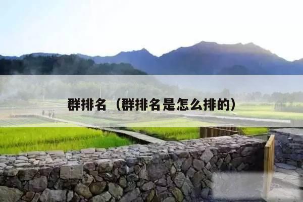 群排名（群排名是怎么排的）