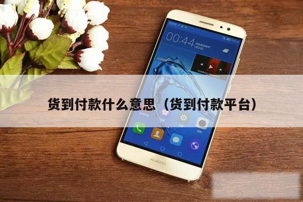 货到付款什么意思（货到付款平台）