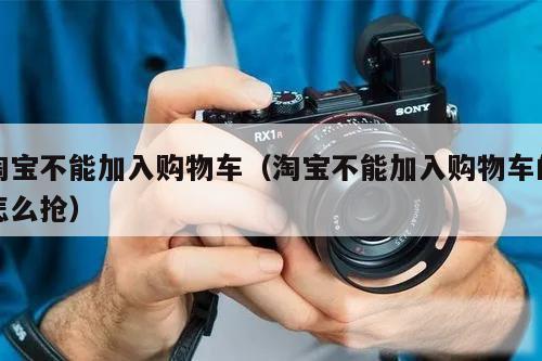 淘宝不能加入购物车（淘宝不能加入购物车的怎么抢）